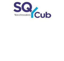 SQY Cub Logo