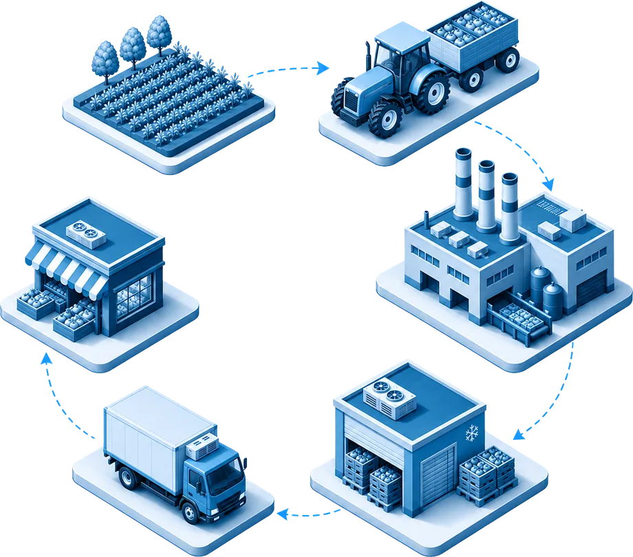 Agri-food supply chain flow: farm, factory, warehouse, distribution and retail
